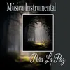 Canciones Instrumentales Pacíficas