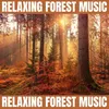 Forest Sounds