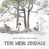 About Teri Meri Zindagi Song