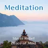 About A Meditation Mezzo Song