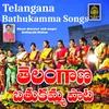 About Telangana Bathukamma Song Song