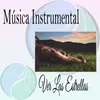 About Música de Fondo para Masajes Sensuales Song