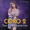 About Cidro 2 Koplo Version Song