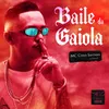About Baile da Gaiola Song
