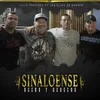 About Sinaloense Hecho y Derecho Song