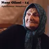 About Nane Gilani - 14 Song