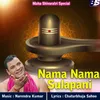 About Nama Nama Sulapani Song