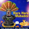 About Hara Hara Mahadev Song
