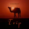 About Trip Song