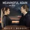 About Meaningful Again Song