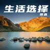 About 生活选择 Song