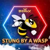 About Stung by a Wasp Song