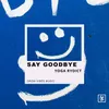 About Say Goodbye Song