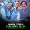 About Zalmi Da Pekhawar Peshawar Zalmi Song