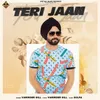 About Teri Jaan Song