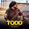 About Todd Song