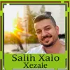 Xezale