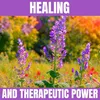 Healing and Therapeutic Power