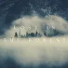 About Lost in the forest Song