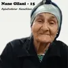 Nane Gilani - 15