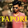 About Tapori Song