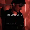 About Au singulier Remix Song