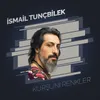 About Kurşuni Renkler Song