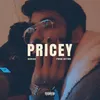 About PRICEY Song