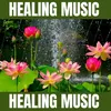 Harmony and Healing