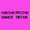 Machu Picchu- Dance Tiktok