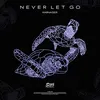 About Never Let Go Song