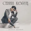 About Сенин Көзүң Song