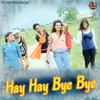 About Hay Hay Bye Bye Song