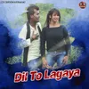 About Dil To Lagaya Song