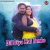 About Dil Diya Hai Tumko Song
