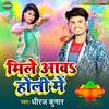 About Mile Aawa Holi Main Song