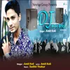 About Dj Wale Bheji Song