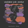 Vedalar Çok Zordur