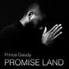 About Promise Land Song