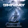About Shivaay Song