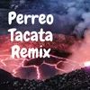About Perreo Tacata Remix Song