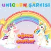 About Unicorn Şarkısı Song