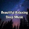 About Beautiful Relaxing Sleep Music Song