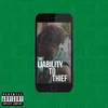 About Liability to Thief Song