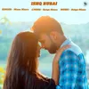 About Ishq Burai Song