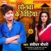 About Sonawa Ke Chidiya Song