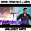 About Valea Umbrei Mortii Song