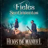 About Fieles Sentimientos Song