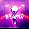 About Bichota Instrumental Song