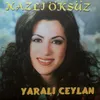 Yaralı Ceylan